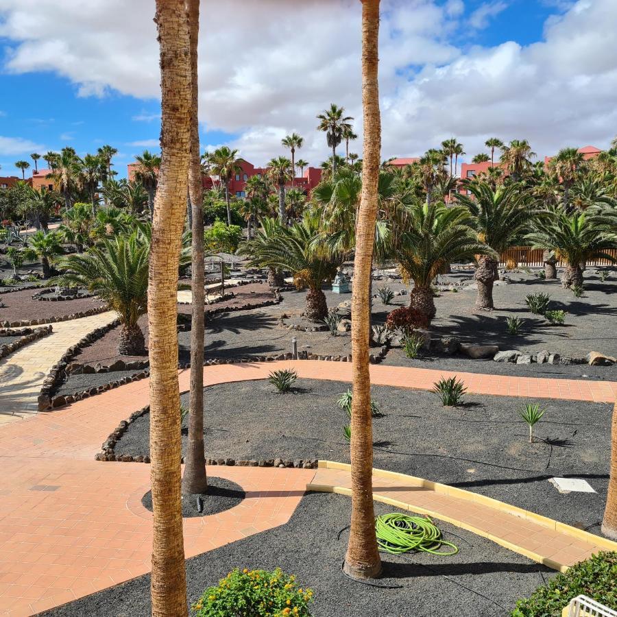 Oasis Royal F319 * Corralejo