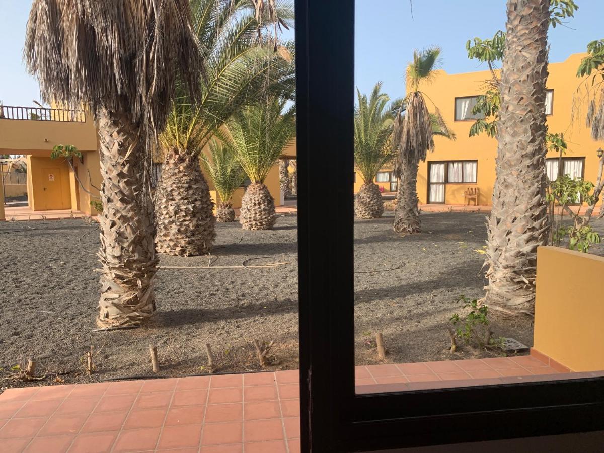 Apartment Playa Oasis *