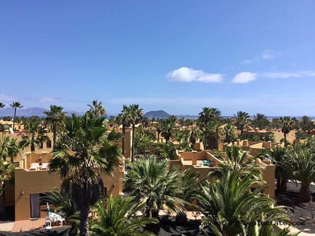 Oasis Papagayo Paradise Corralejo