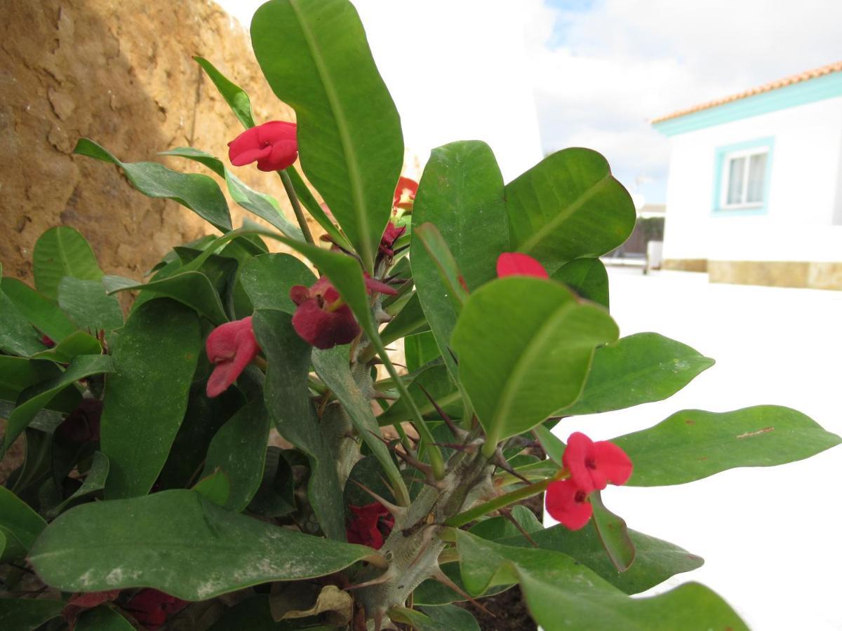 Nautico Boutique Apartments, By Comfortable Luxury - Adults Only Aparthotel