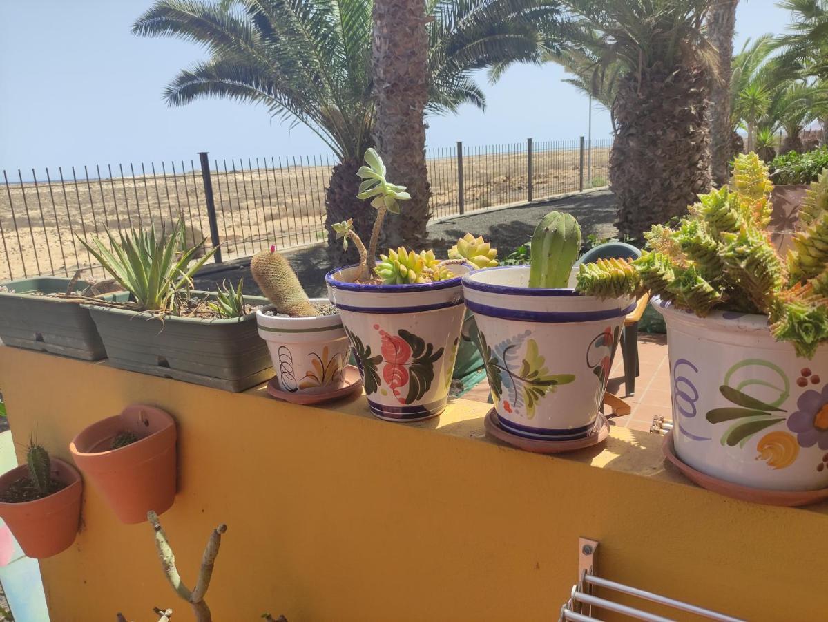 Marenazul * Corralejo