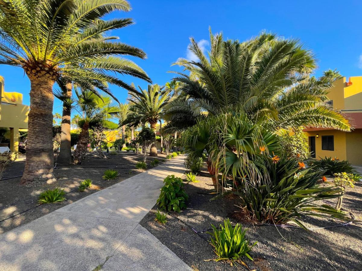 Atlantic Garden 238 By Holidays Fuerteventura Apartamento