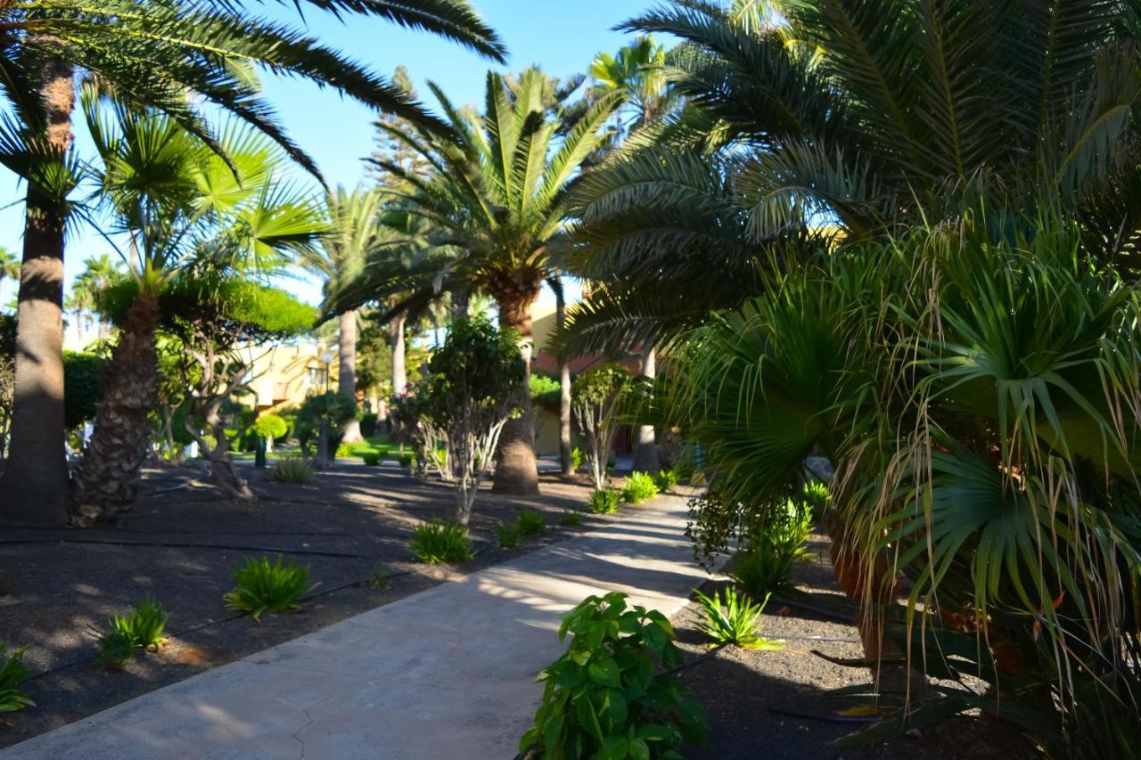 Apartment Atlantic Garden 238 By Holidays Fuerteventura