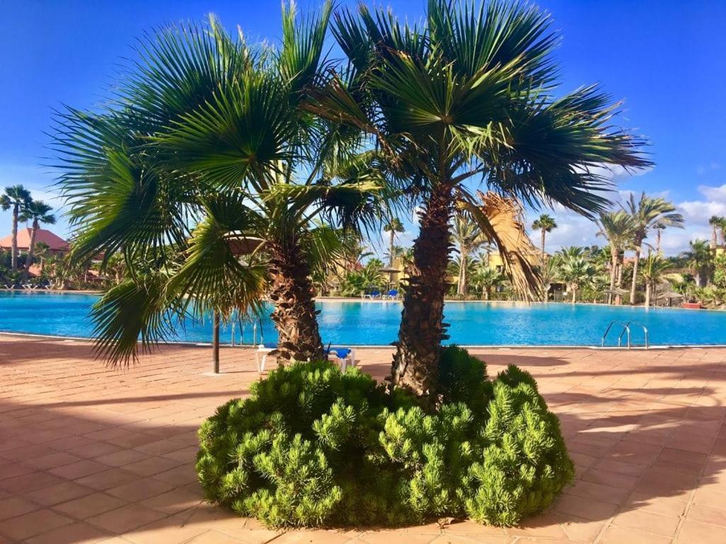 Fuerteventura *