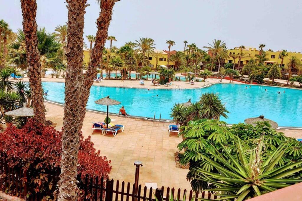 Tamarindo 28, Pool Front,free Wifi Corralejo