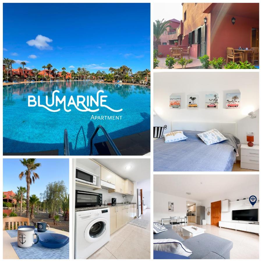 Apartment Tamarindo Blumarine - Pool & Wifi Free 4 Persons *