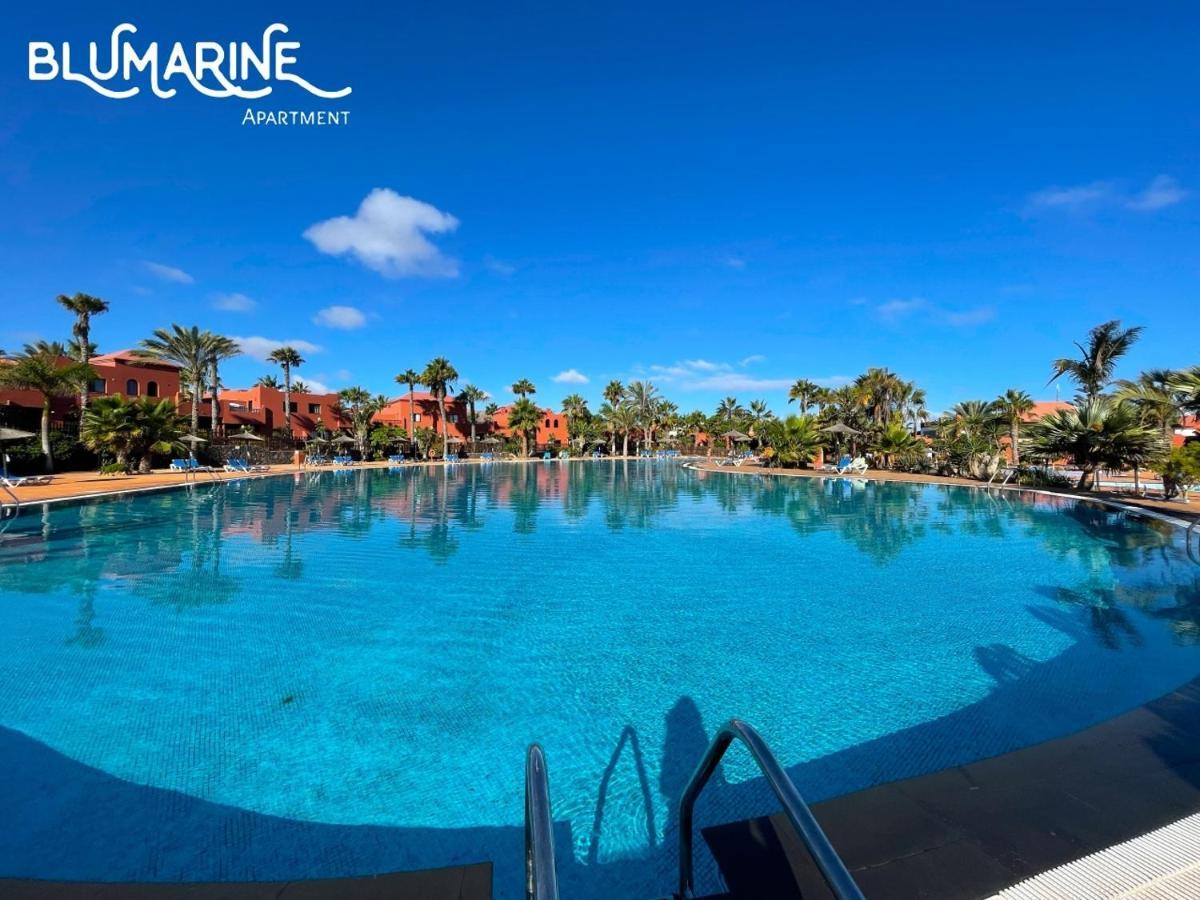 Tamarindo Blumarine - Pool & Wifi Free 4 Persons Apartment