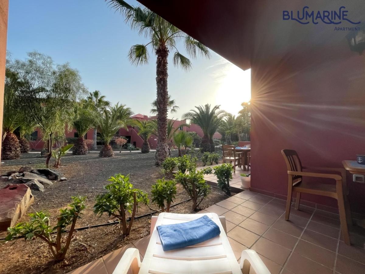 Tamarindo Blumarine - Pool & Wifi Free 4 Persons Corralejo