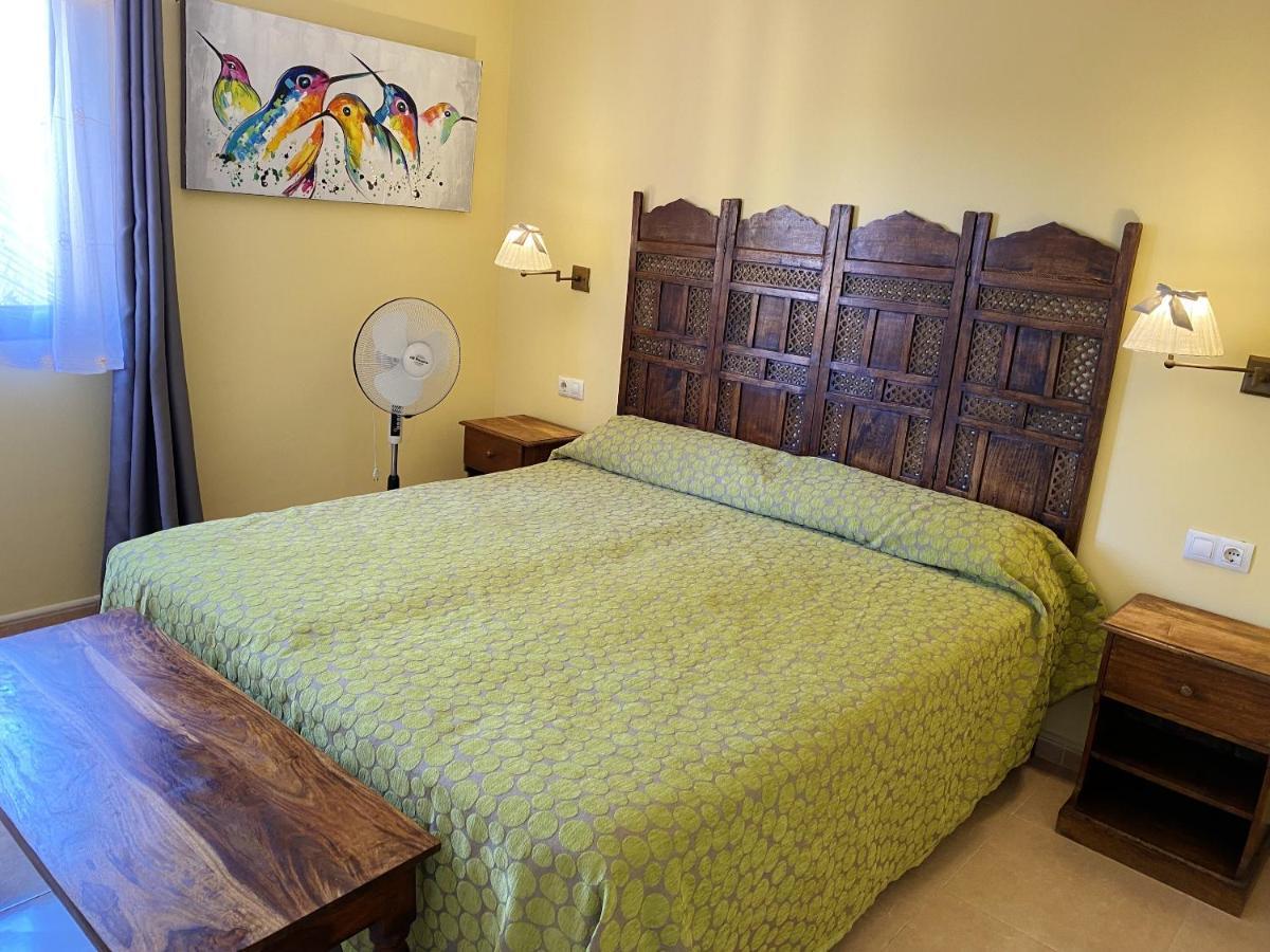 Cosy Corralejo: With Shared Pool Apartment