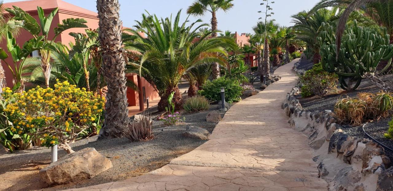 Tamarindo I Piscinas De Agua Salada - Fibra óptica
