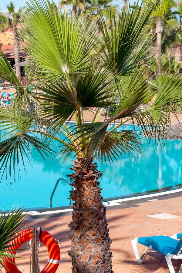 Apartment Fuerteventura Tamarindo 1 *