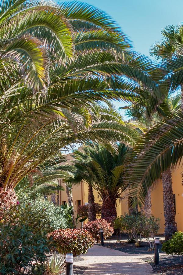 Oasis Fuerteventura Beach 3*
