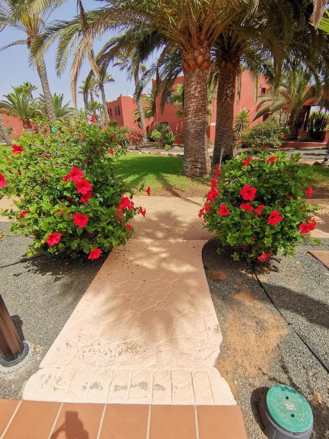 Spagnolo Oasis Tamarindo Appartement *
