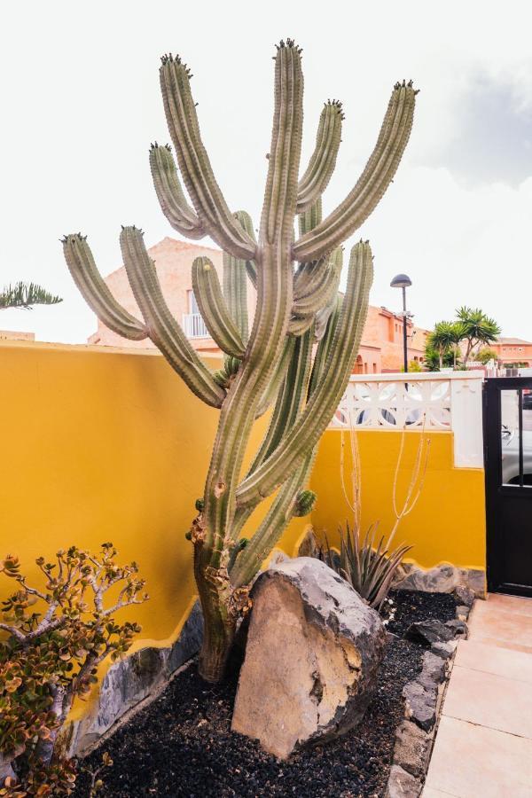Casa Maui Corralejo