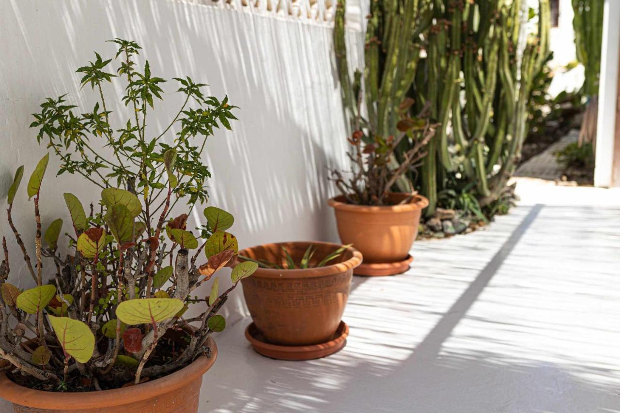El Piloto Casa Canaria By Chic Fuerteventura Privatunterkunft
