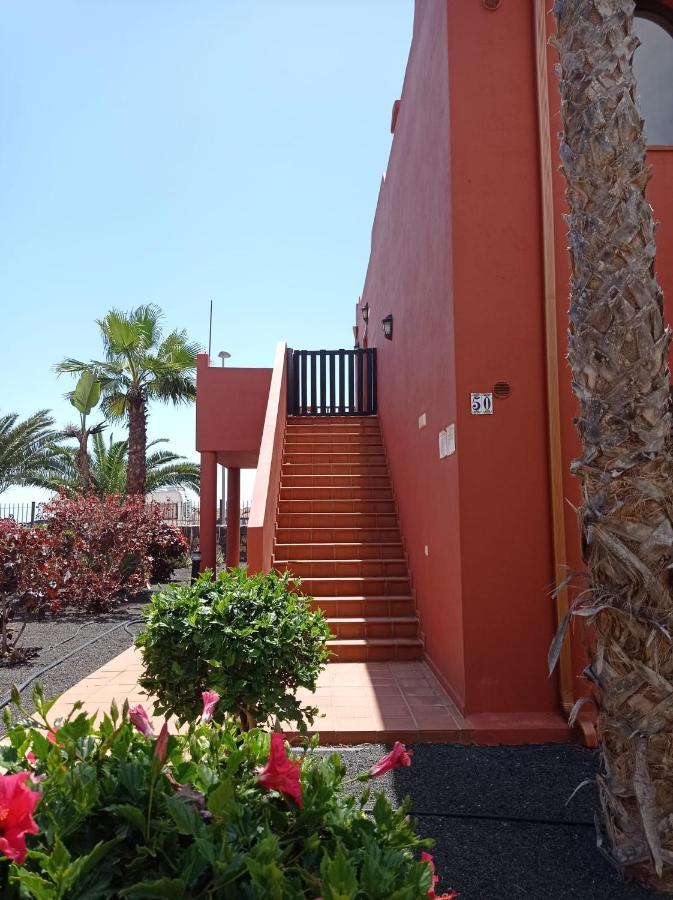 Adamsurfcom Apartment