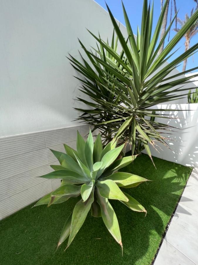Apartment Bristol Terrace Con Giardino Privato Esterno Corralejo