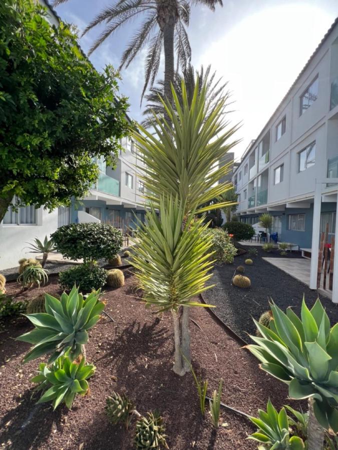 Bristol Terrace Con Giardino Privato Esterno Apartment Corralejo