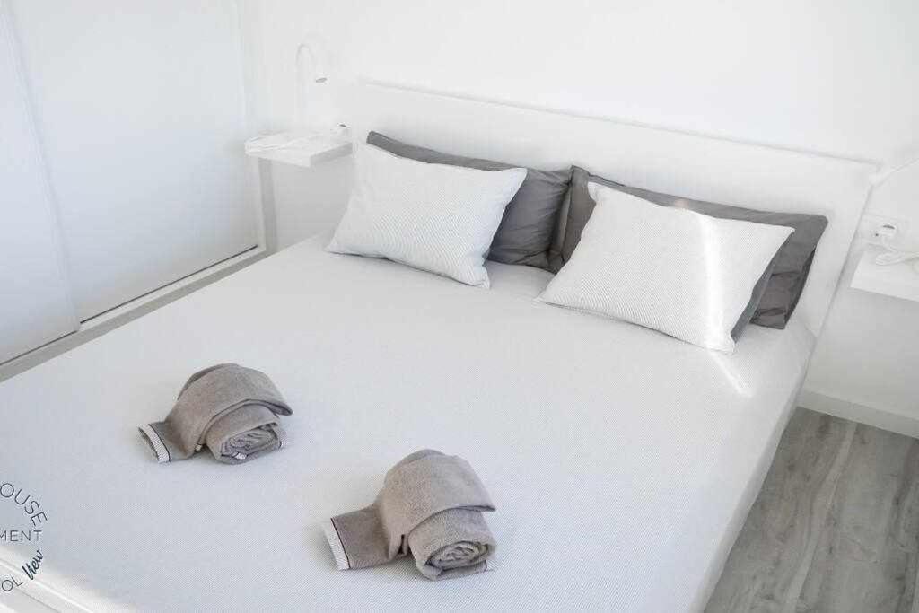 Apartment San Valentin Pakky House