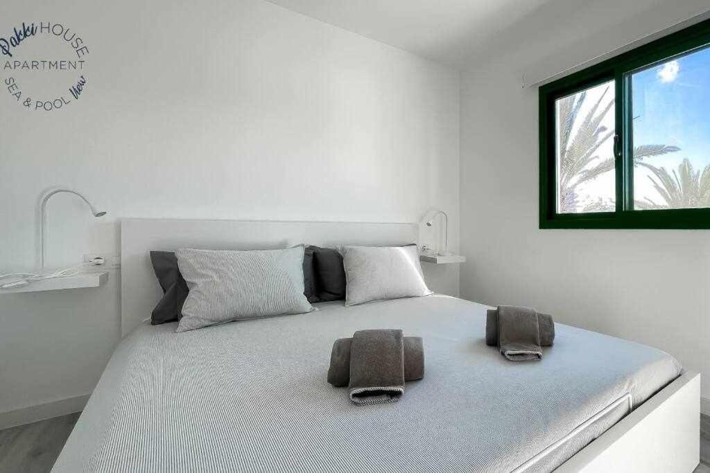 San Valentin Pakky House Apartment Corralejo
