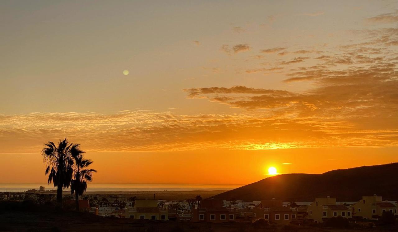 Semicorchea Irent Fuerteventura Corralejo