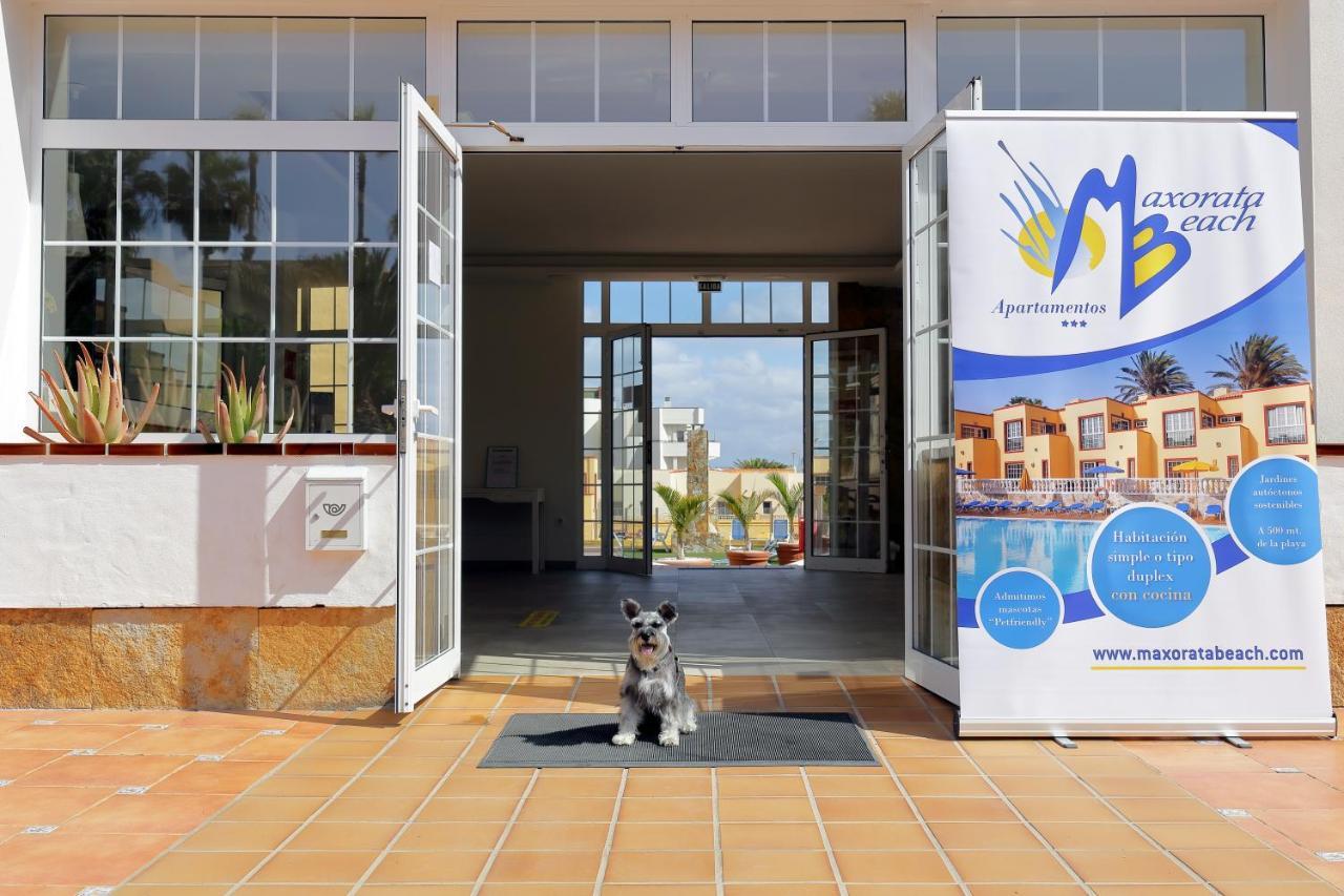 Maxorata Aparthotel Corralejo