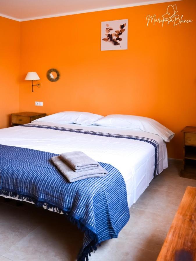 B-rent Mariposa Private Garden Corralejo