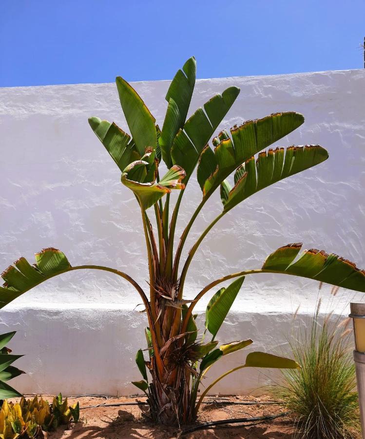 Casa Vivi Fuerteventura Apartamento