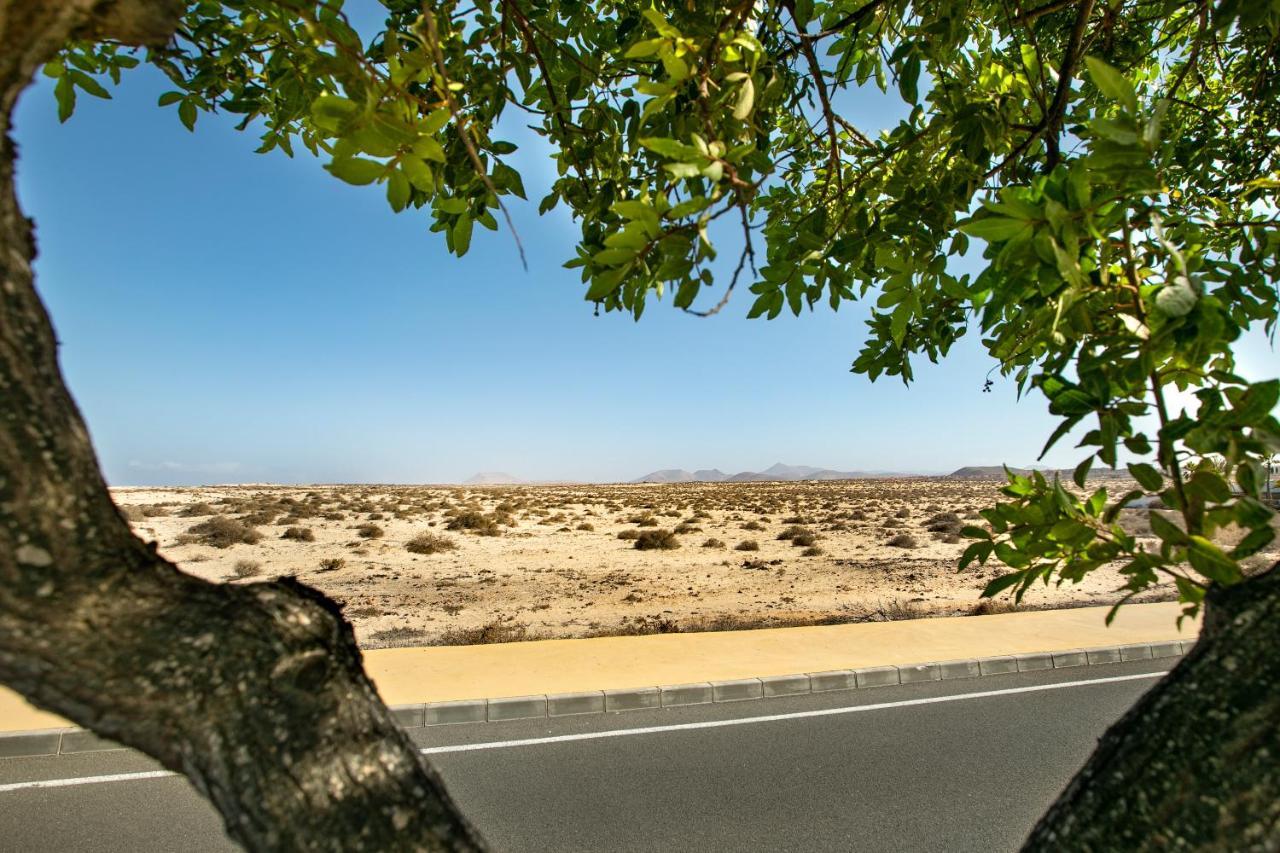 Vistas Dunasol Corralejo