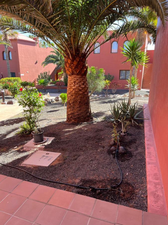 Casa Mimi Oasis Tamarindo Apartamento