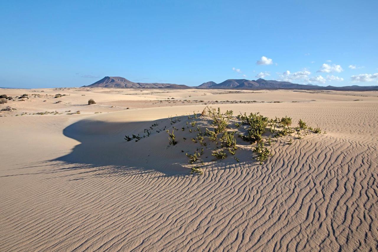 Villa Brisamar19 Corralejo