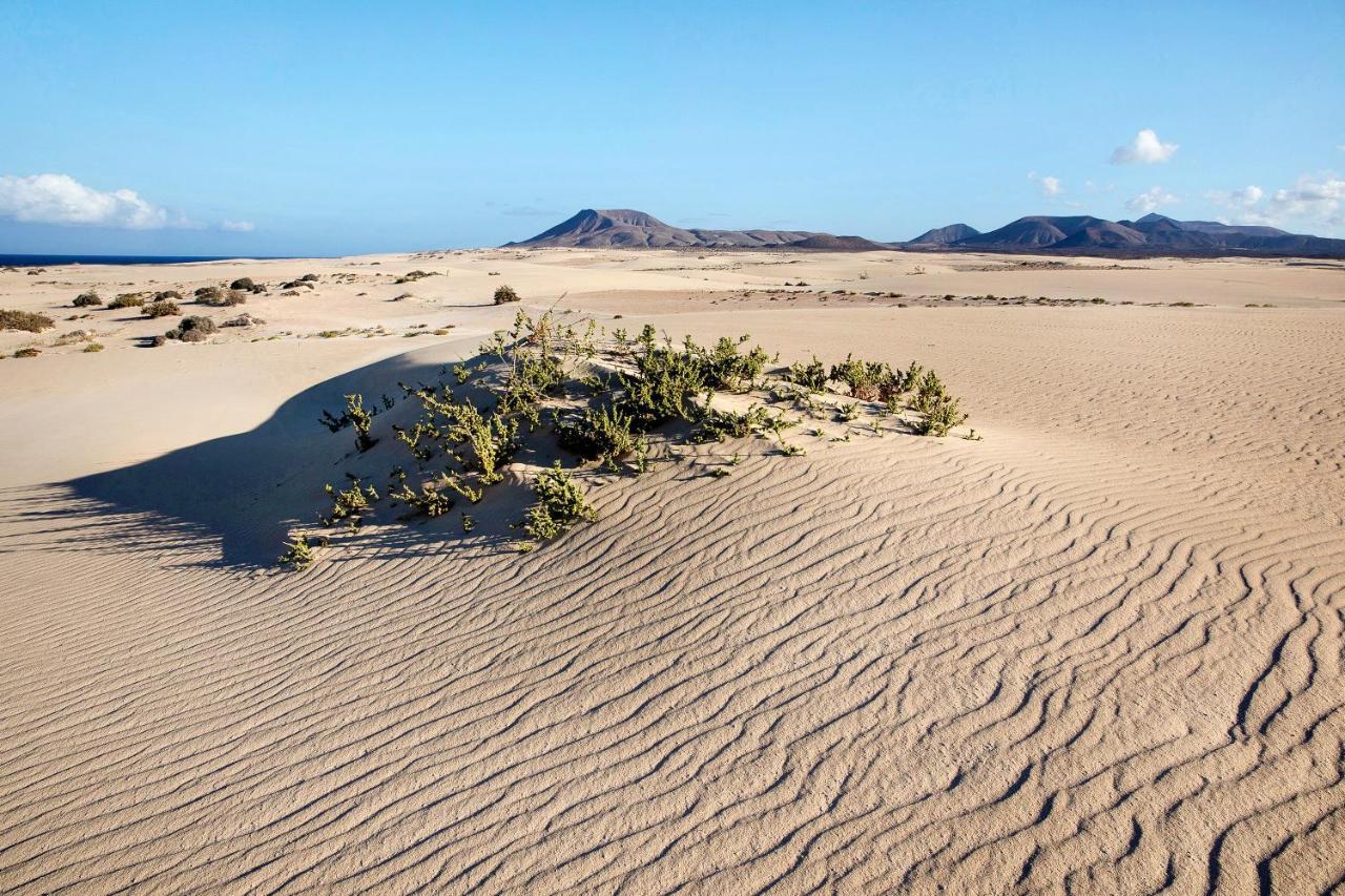 Villa Contenta Corralejo