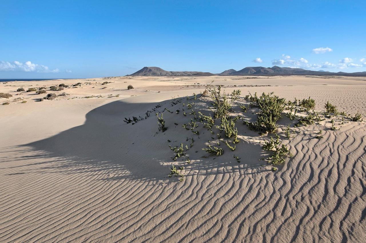 Pacifica Villa Corralejo