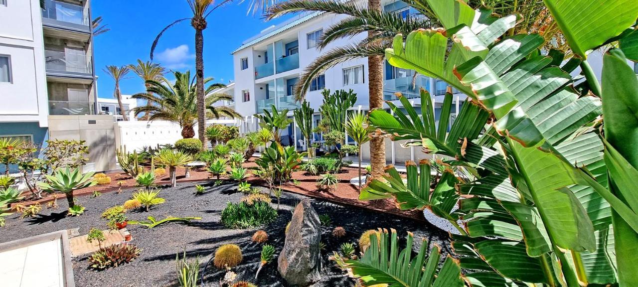 Flora * Corralejo