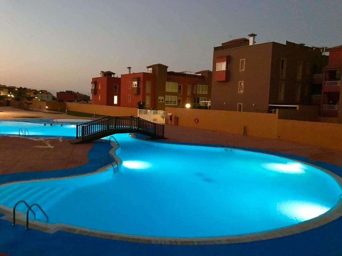 Relaxing And Welcoming Canaries *