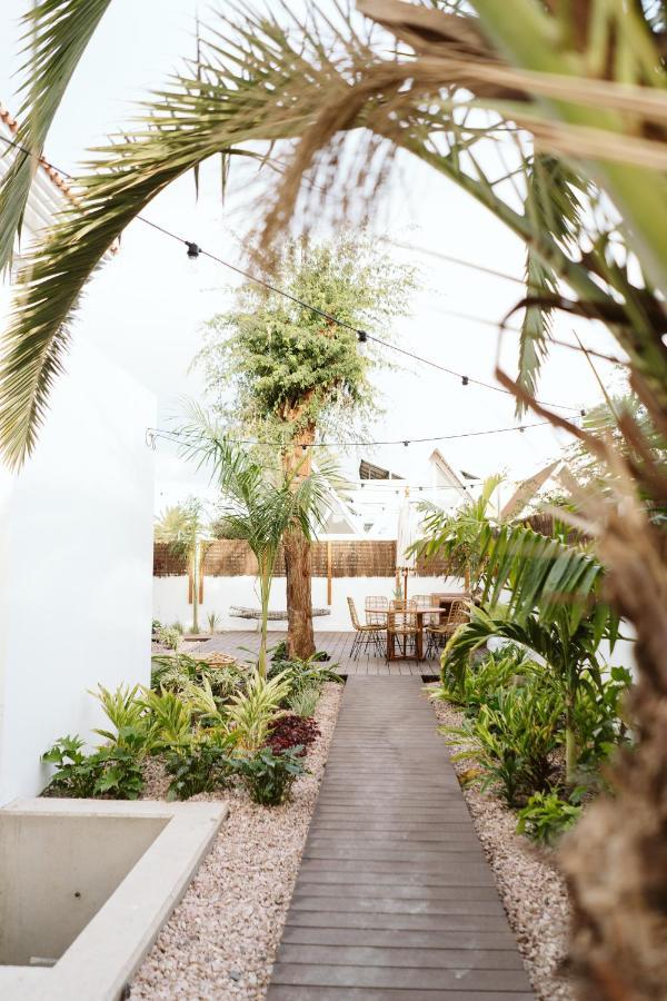 Dreamsea Surf House Fuerteventura