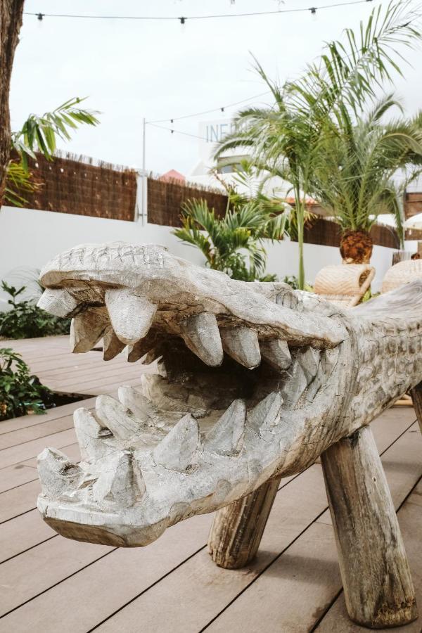 Dreamsea Surf House Fuerteventura