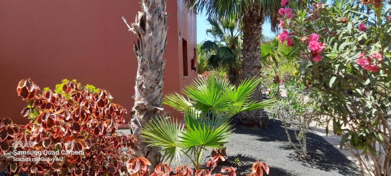 Happy Place, Precioso Con Piscina Apartment Corralejo