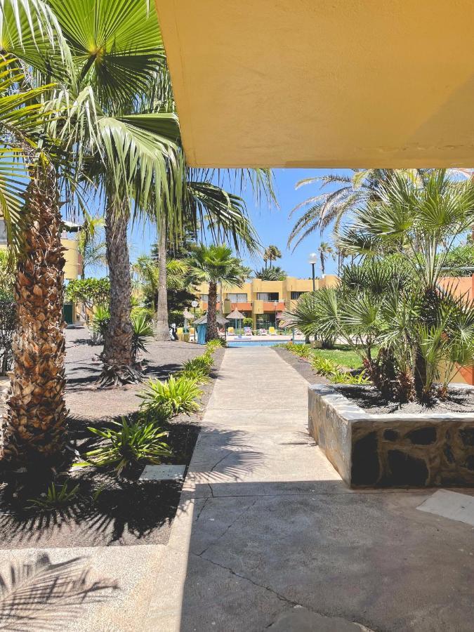 Seaside : A Cozy In A Peaceful Well Located Complex Corralejo