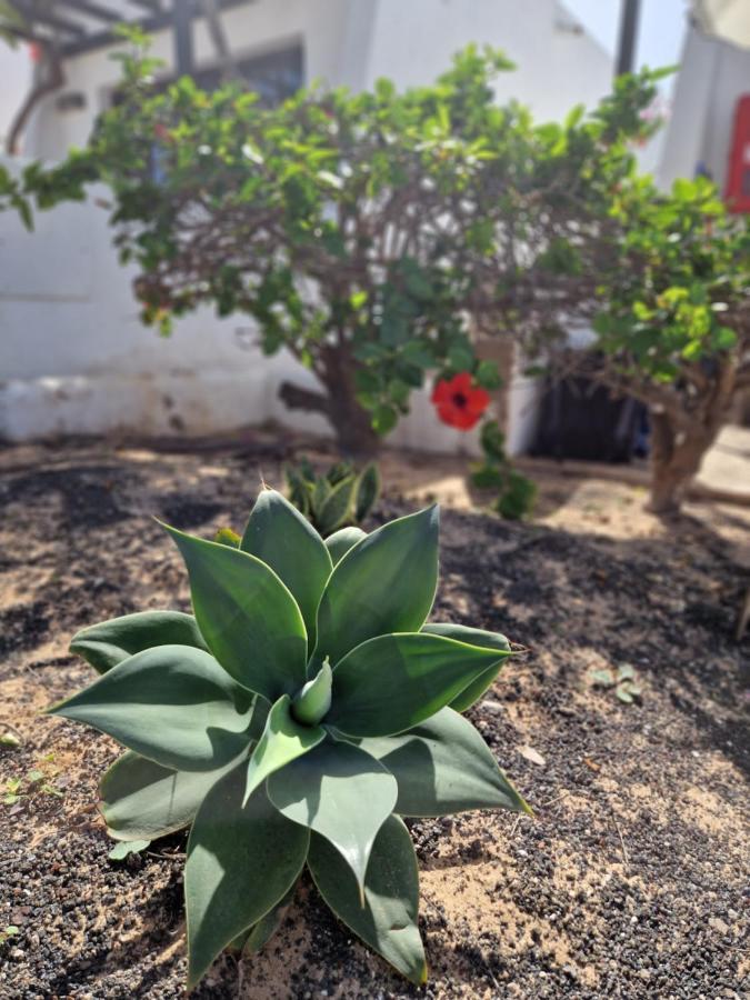 Apartamento Casa Vivi Fuerteventura