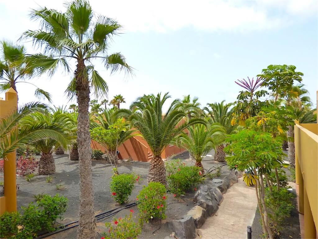 Oasis Papagayo Paradise * Corralejo