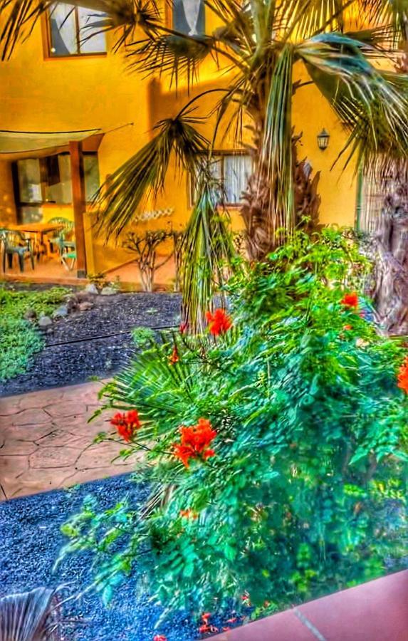 Paradise House