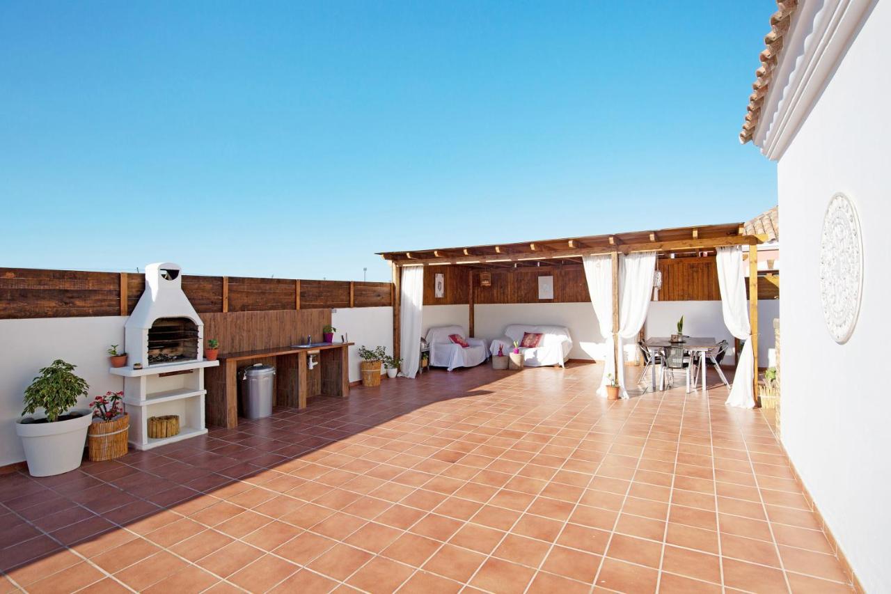 Baobab Corralejo
