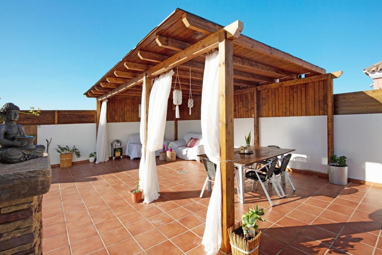 Baobab Corralejo