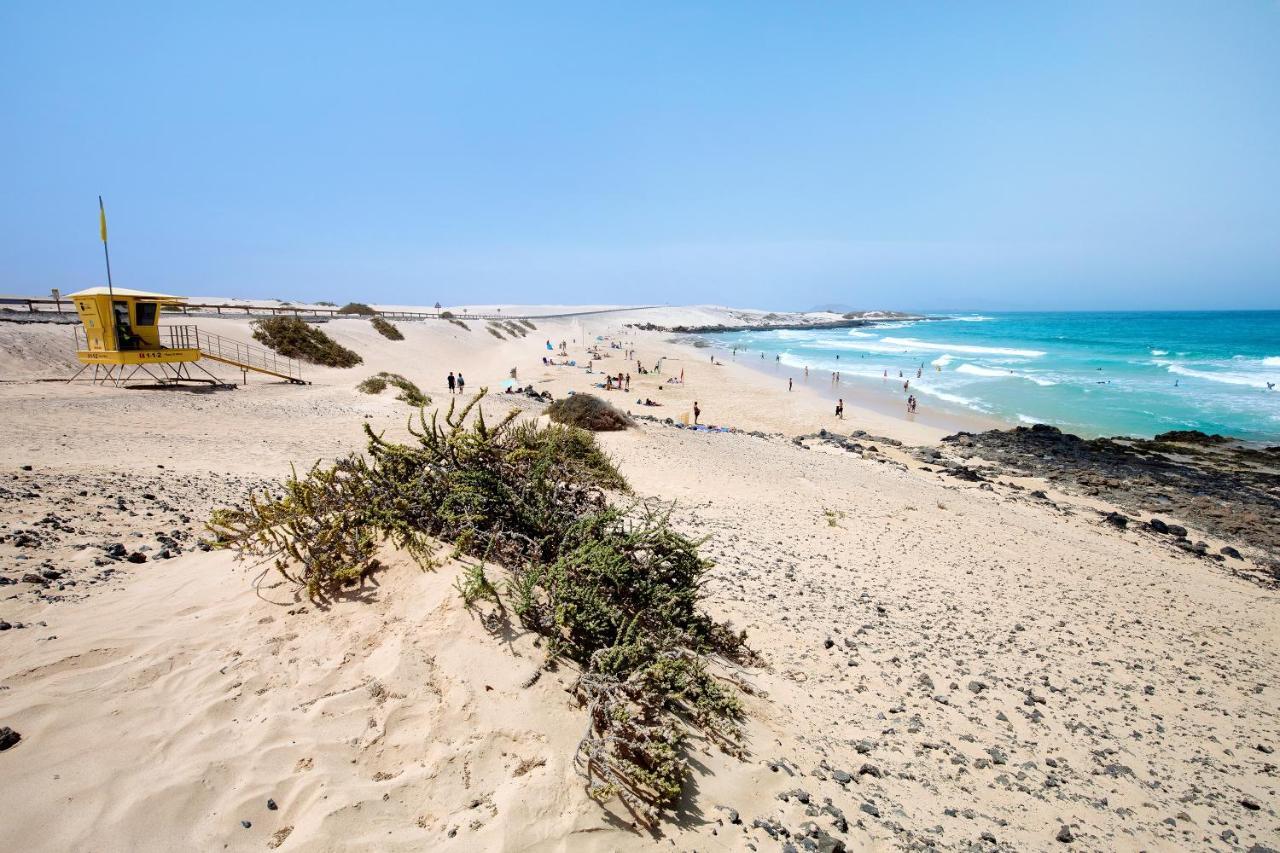 Baobab Corralejo