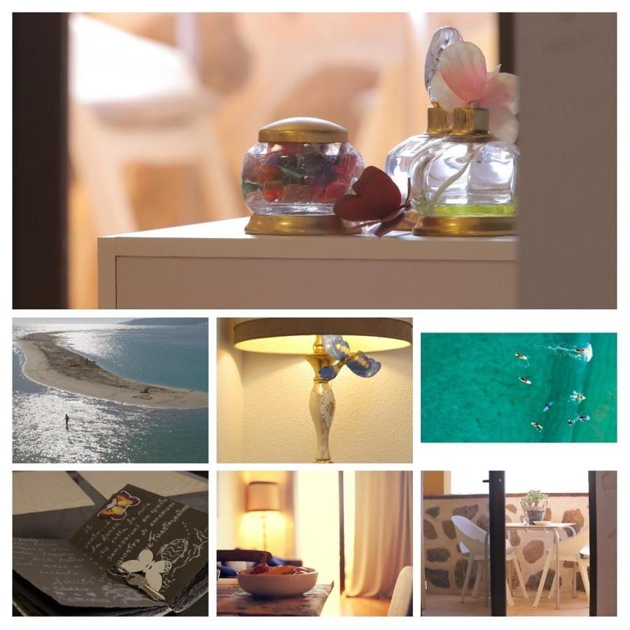 Apartamento Butterfly House *
