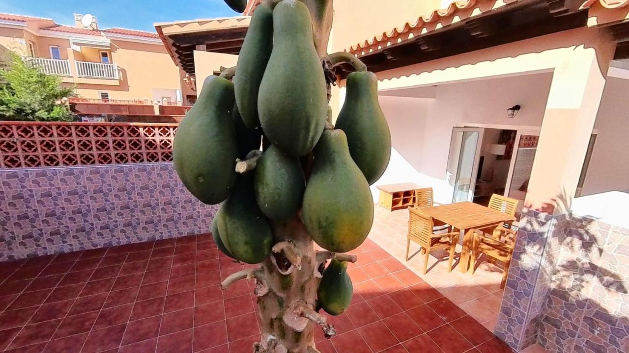 La Casa De La Papaya, By Comfortable Luxury Villa Corralejo