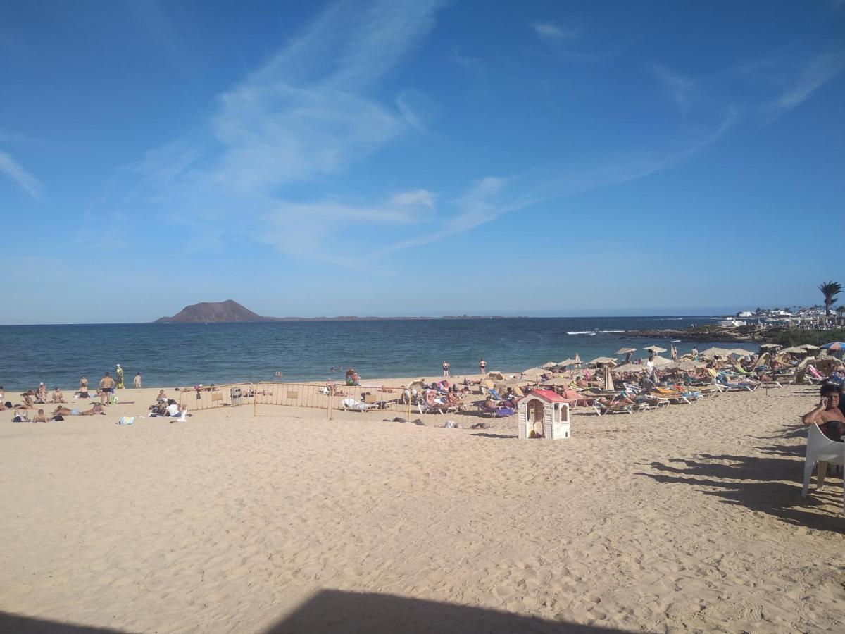 Vistas 3 *