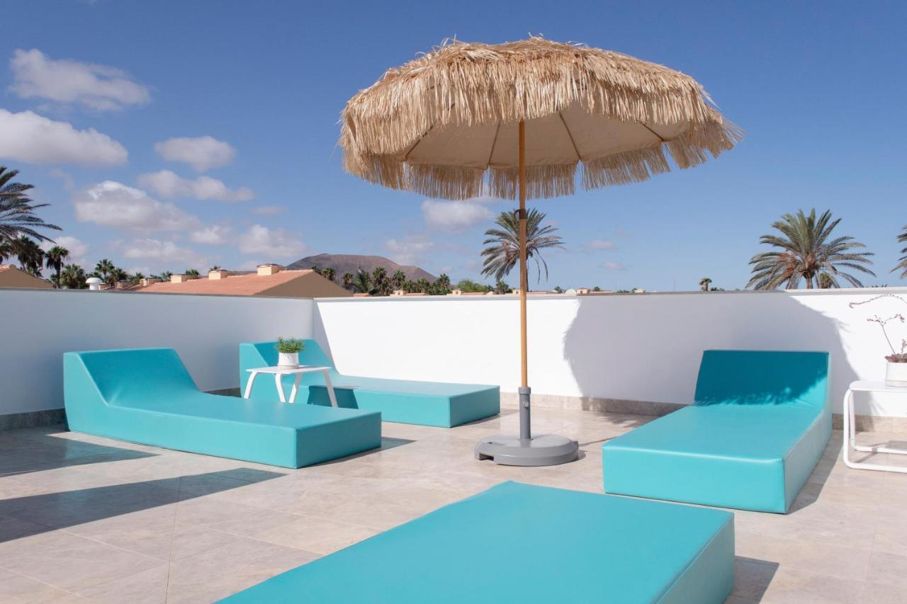 The Moss - Luxury In Near The Corralejo