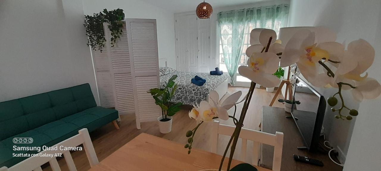 Loft 105 * Corralejo